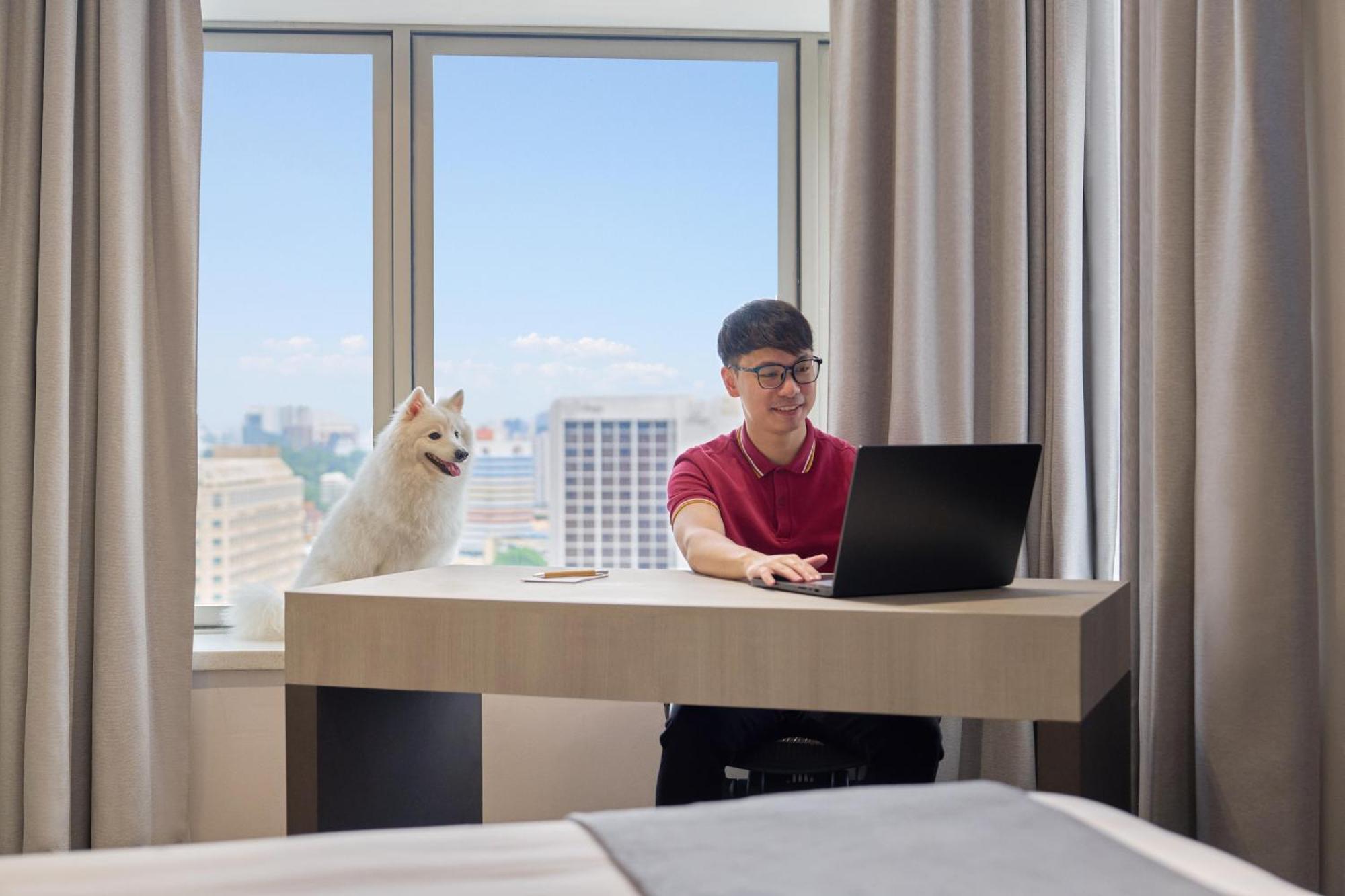 Deluxe One-Bedroom Apartment