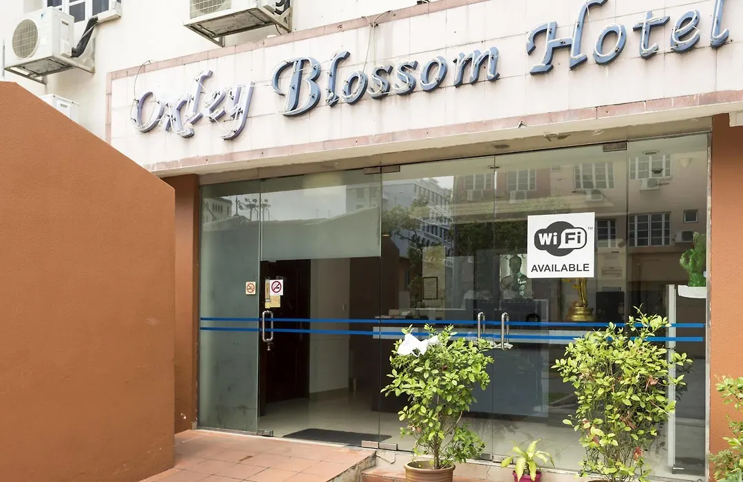 Oxley Blossom Hotel-1