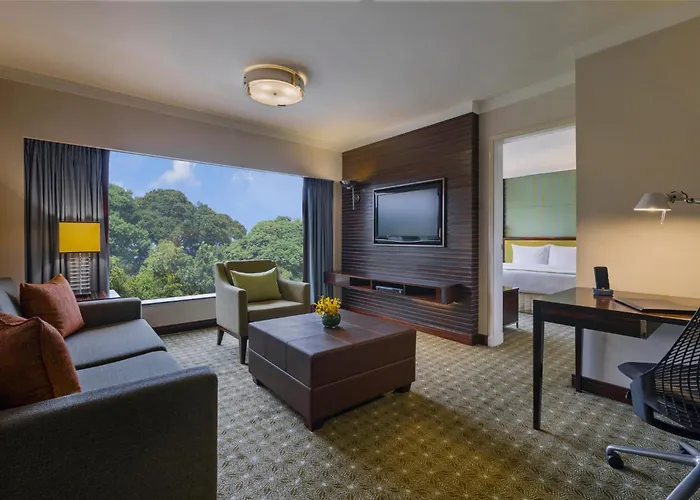Holiday Inn Singapore Orchard City Centre By Ihg