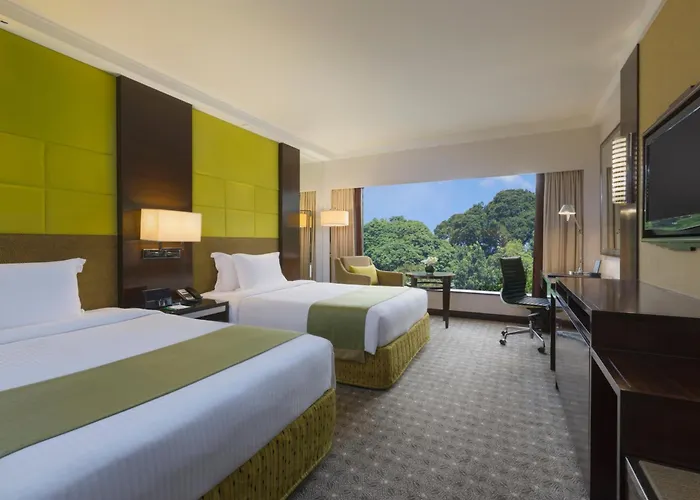 Holiday Inn Singapore Orchard City Centre By Ihg